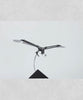 Aquila SE Silver Video